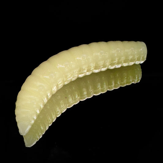 Larva Grub