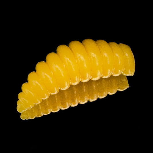 Larva XL