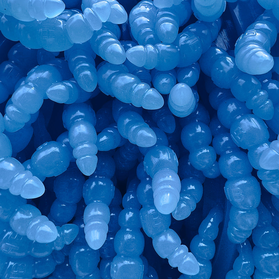 From Fishing to Television: How Larva Apod Caught the Attention of a TV Production