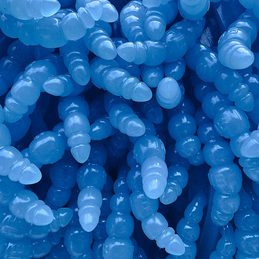 From Fishing to Television: How Larva Apod Caught the Attention of a TV Production