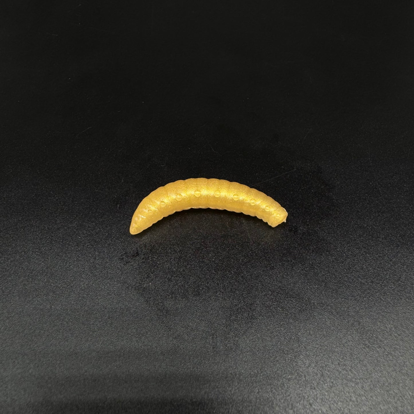 Larva Grub 35mm (color:Gold Pearl)