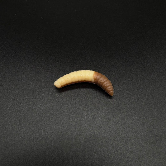 Larva Grub 30mm (color:Cheese+Coffee Milk)