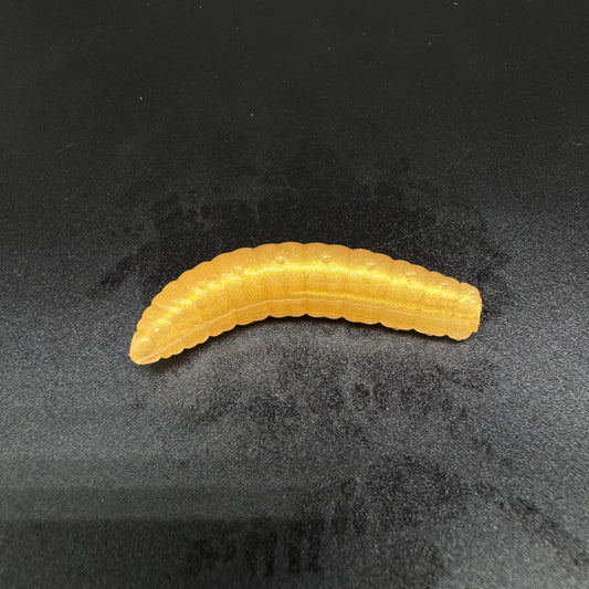 Larva Grub 40mm (color:Gold Pearl)