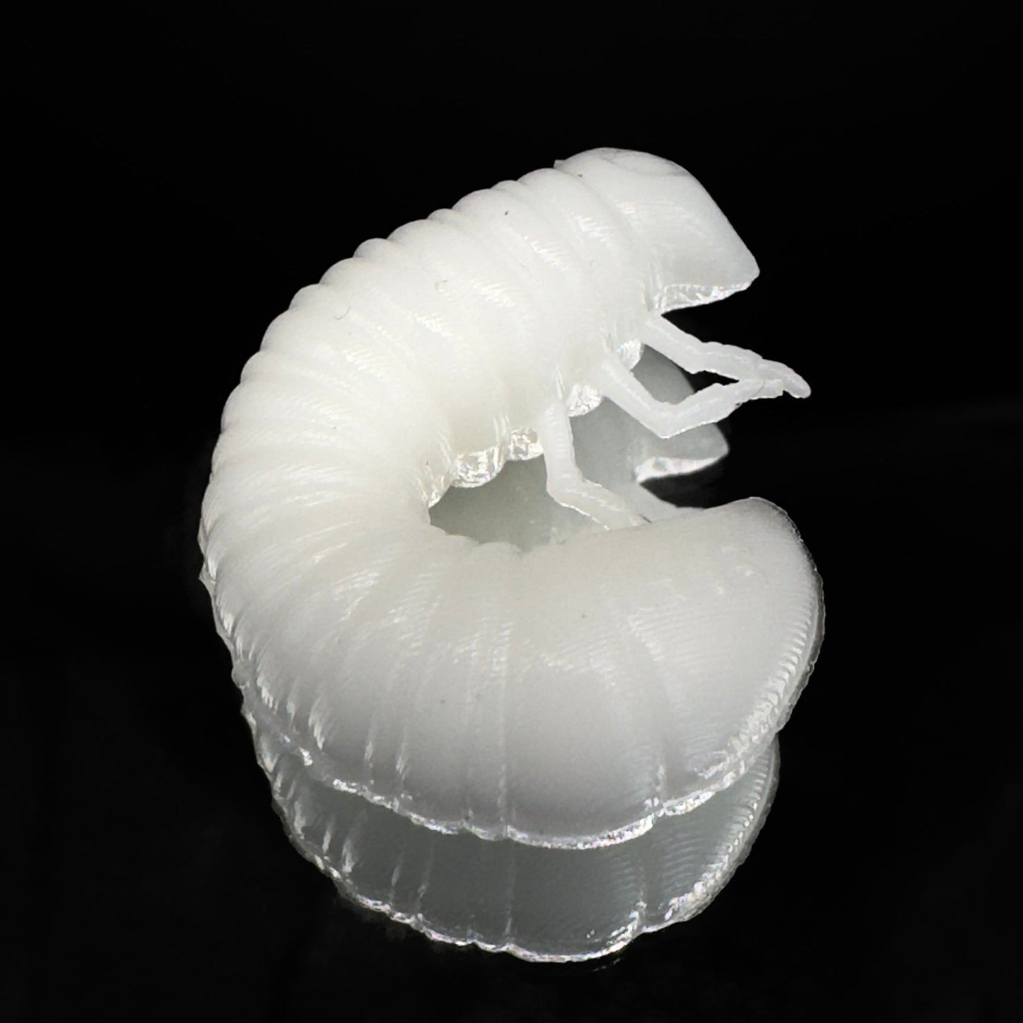 SCARAB - Harmony Baits