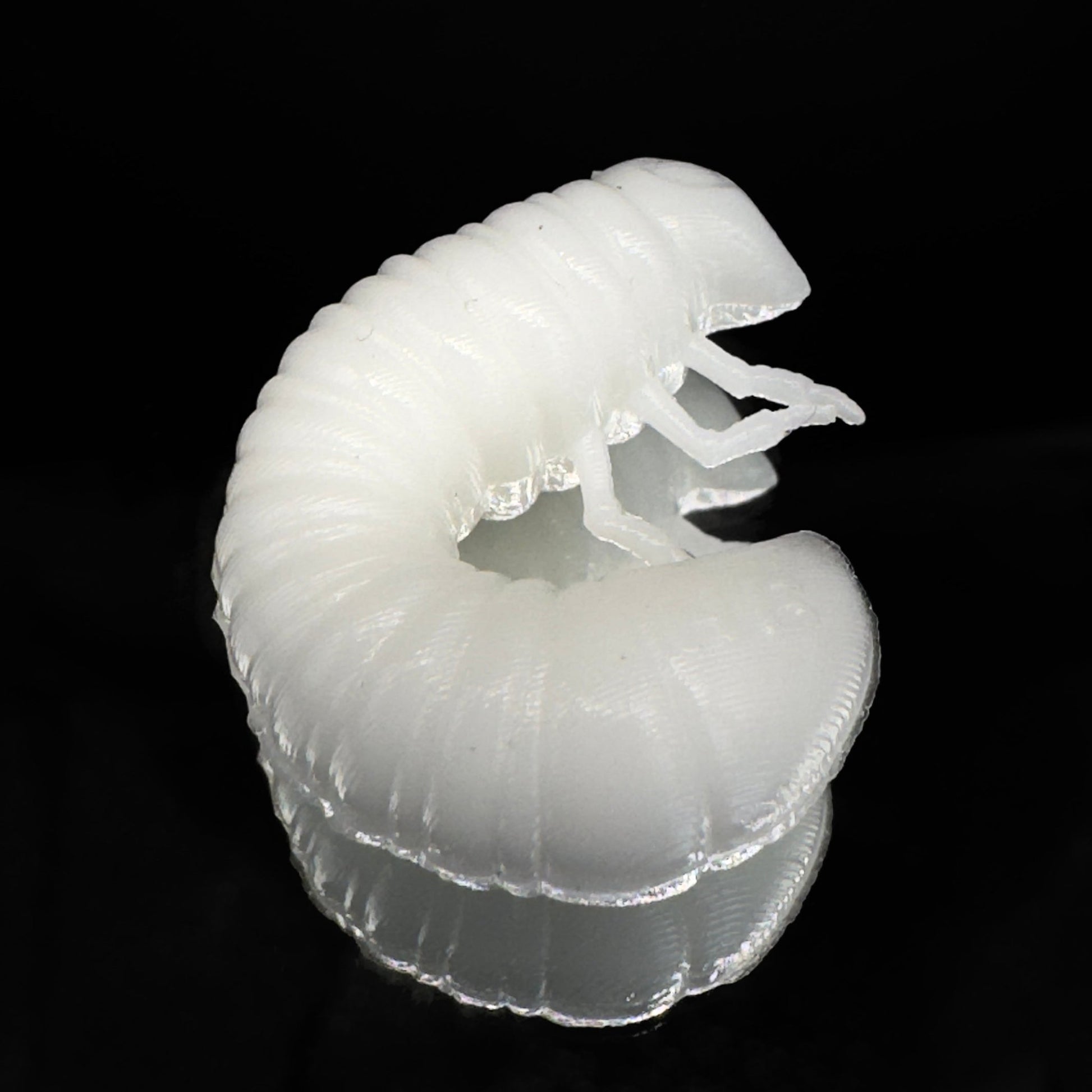 SCARAB - Harmony Baits